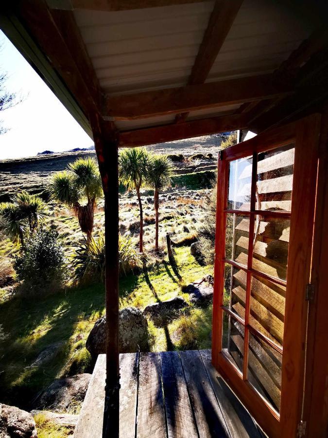 Manaaki Mai, Rustic Retreat Bush Cabin 크라이스트처치 외부 사진